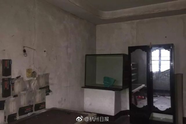 张柏芝下面一清二楚