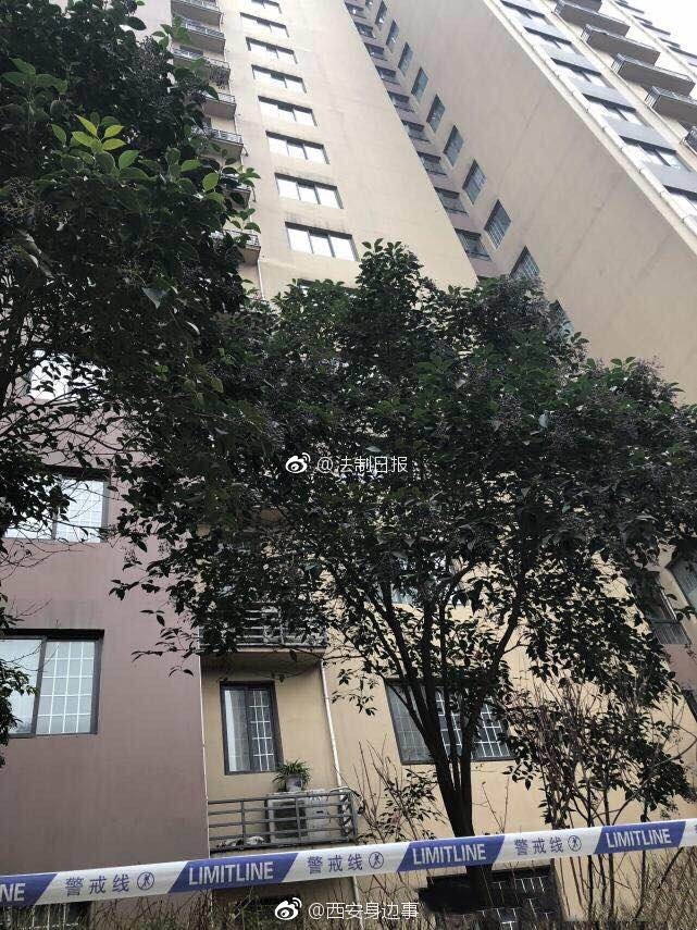 唐三插曲比比东不亦乐漫画