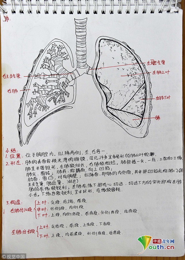 男女交叉视频