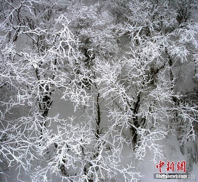 小雪初尝禁果又粗又大的中国地图