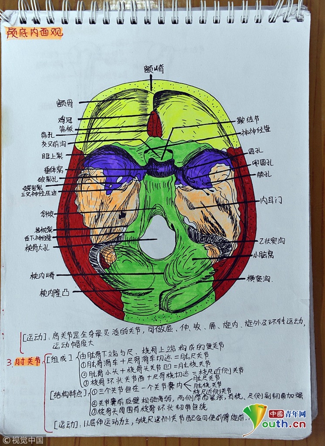 wwwww黄
