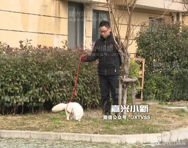 黄色网站观看