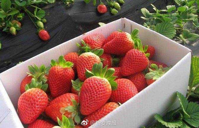 欧美三级中文字幕