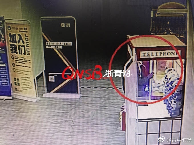 茄子视频污