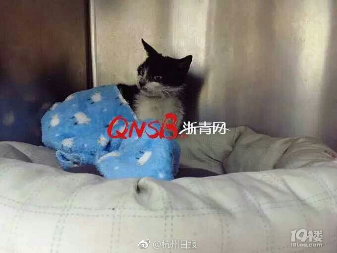 男人的 伸到 里拔萝卜