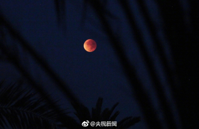 性生活大片