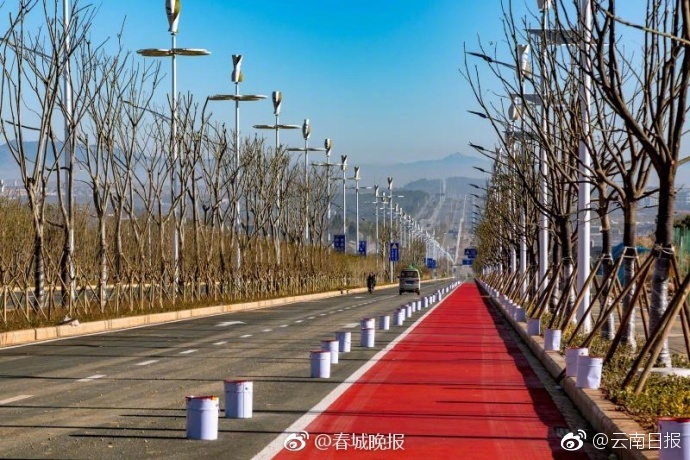 欧洲第一无人区观看