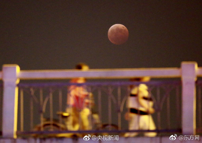 女人一级片