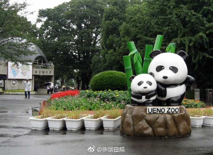 婷婷综合激情