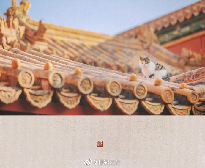 美女扒开尿道