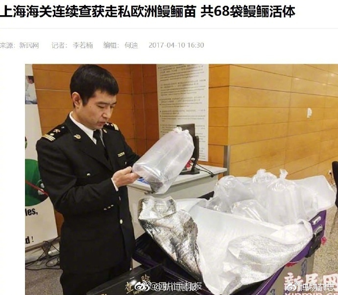 美女在线黄色小电影