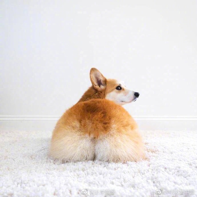 野花社区