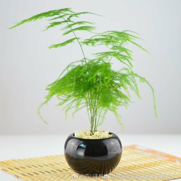 中国护士性满足Hd