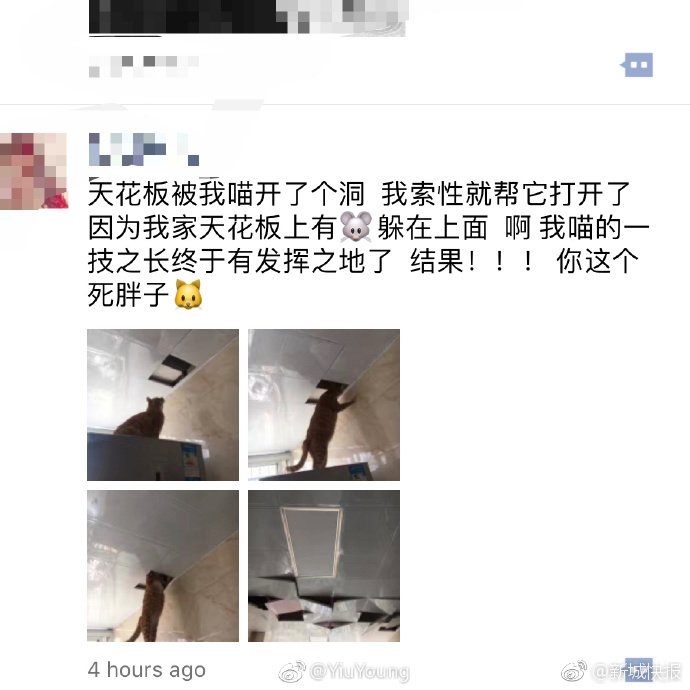 有码在线