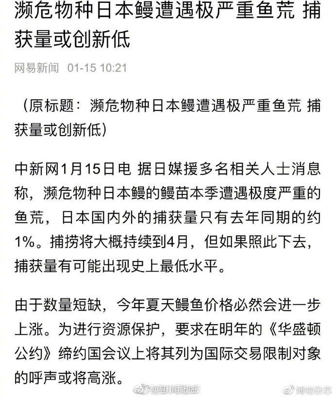 香澄遙