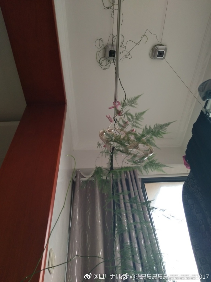 高清无码私处网站