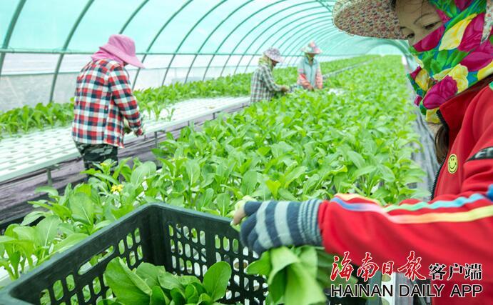 A及片夫妻黄色片