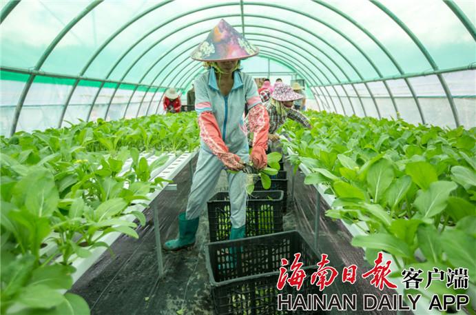 血淋淋的破女处视频