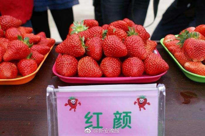 亚洲区一区二