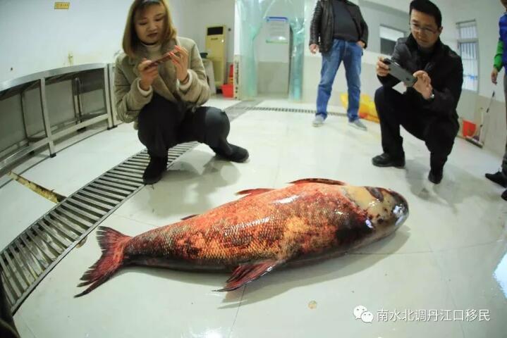 沈娜娜被操的视频
