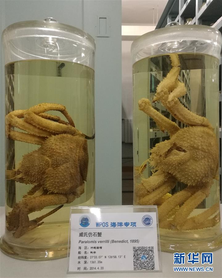 逼逼网