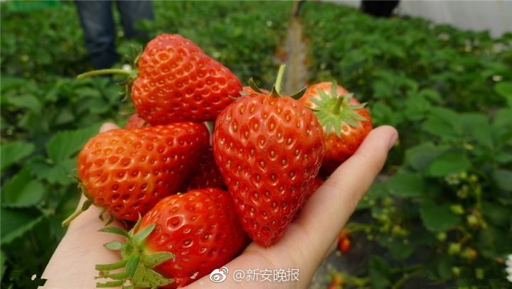 韩国一级 伦理黄色片
