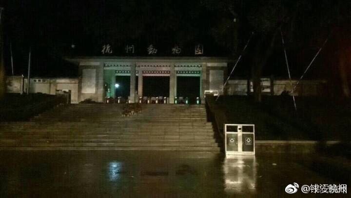成人 色情 抖 音