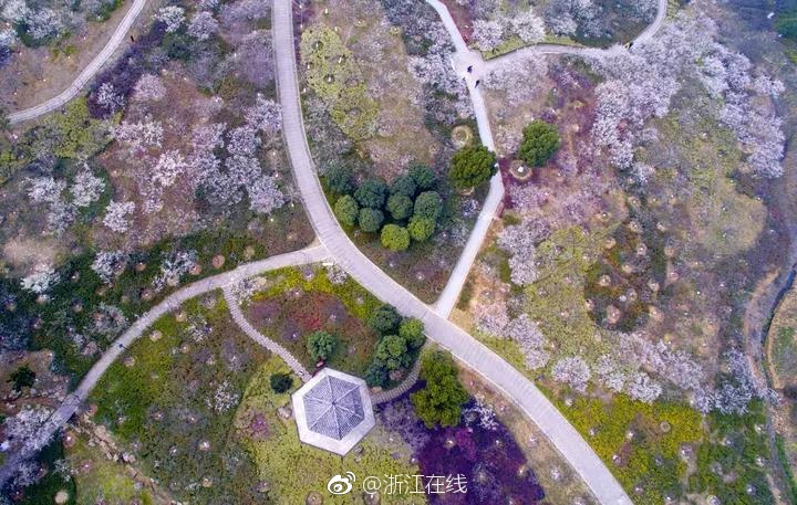 免费 黄色 网站