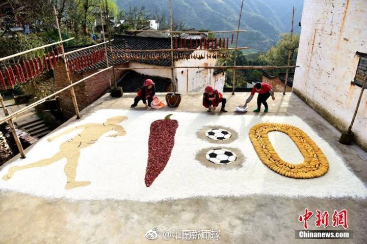 中国美女孕妇特级片