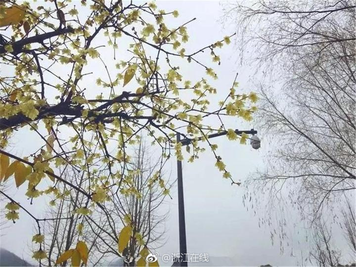 99re在线视频