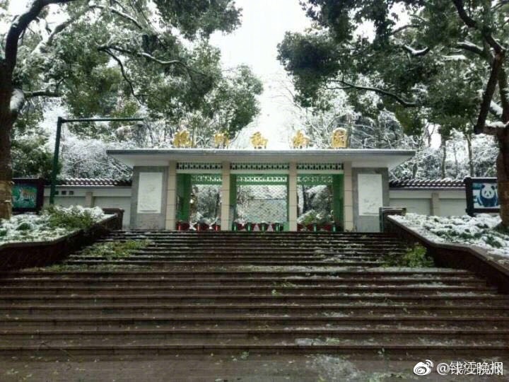 自拍黄色电影播放
