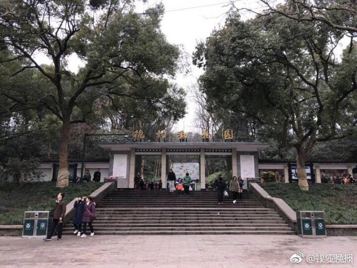 插进去操吃奶