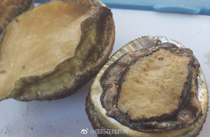 肌肌桶肌肌免费30分钟的软件