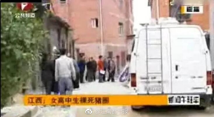 肥胖老女人特一级毛片