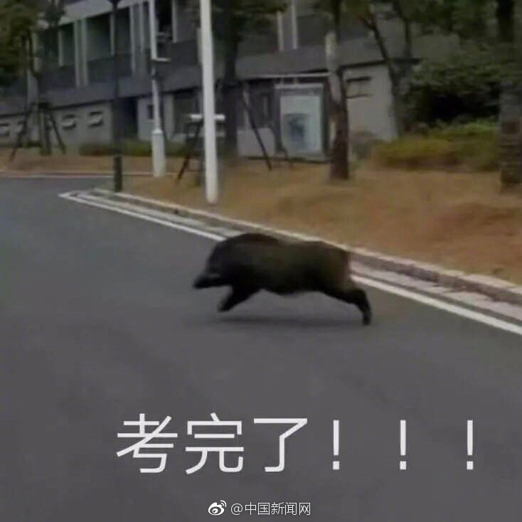 女老师一级片