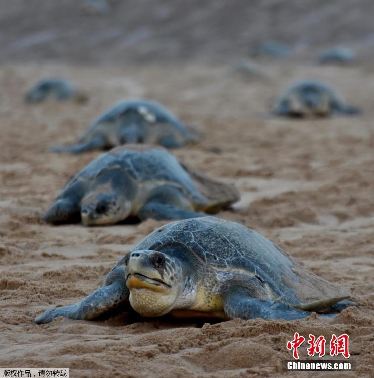 浪小辉巨茎帅警GVFUCK