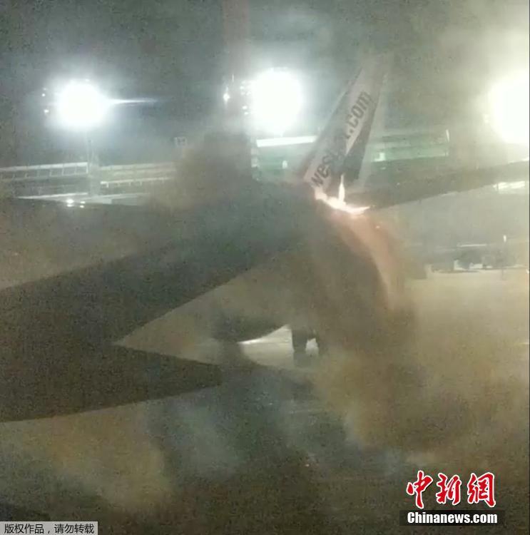 欧美肥婆一级片