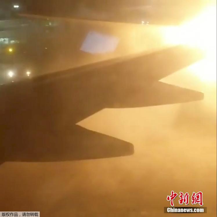 沈娜娜在线观看一区