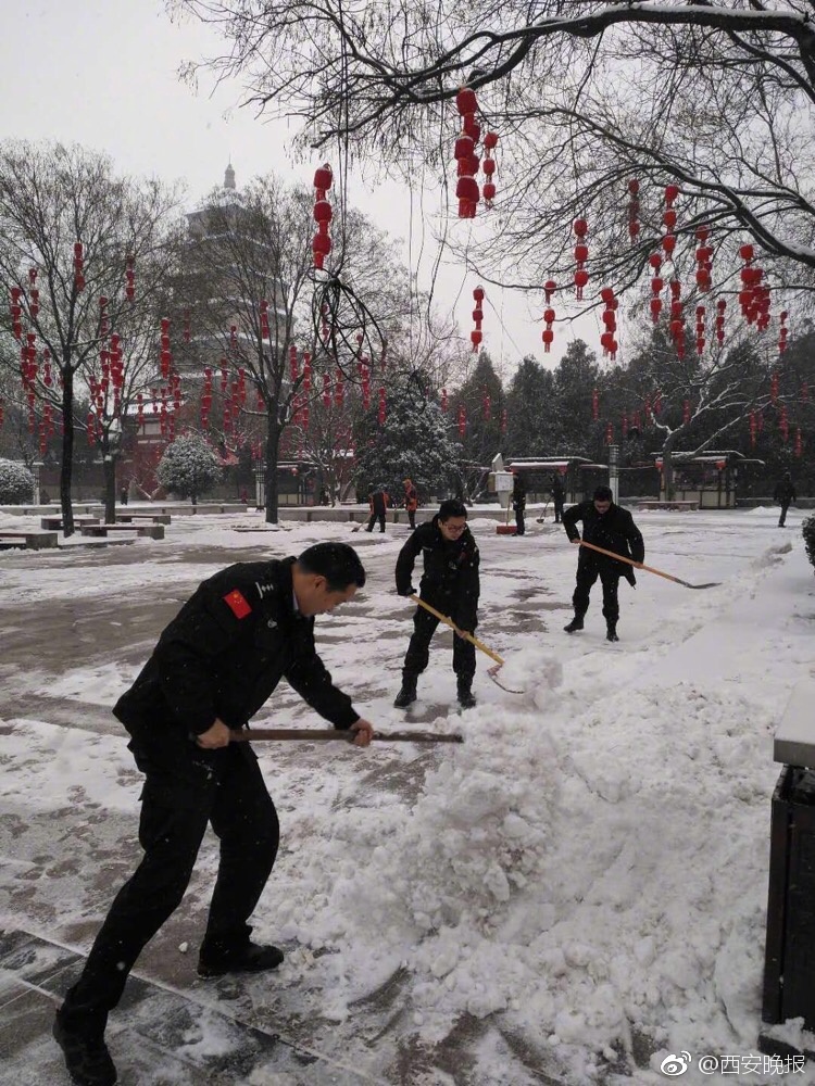 c逼软件