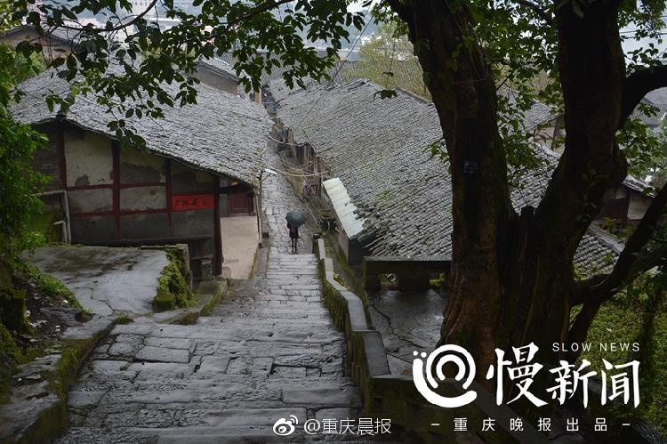 黄色电影网看电影