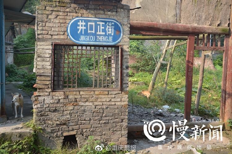 那你免费黄色视频网站