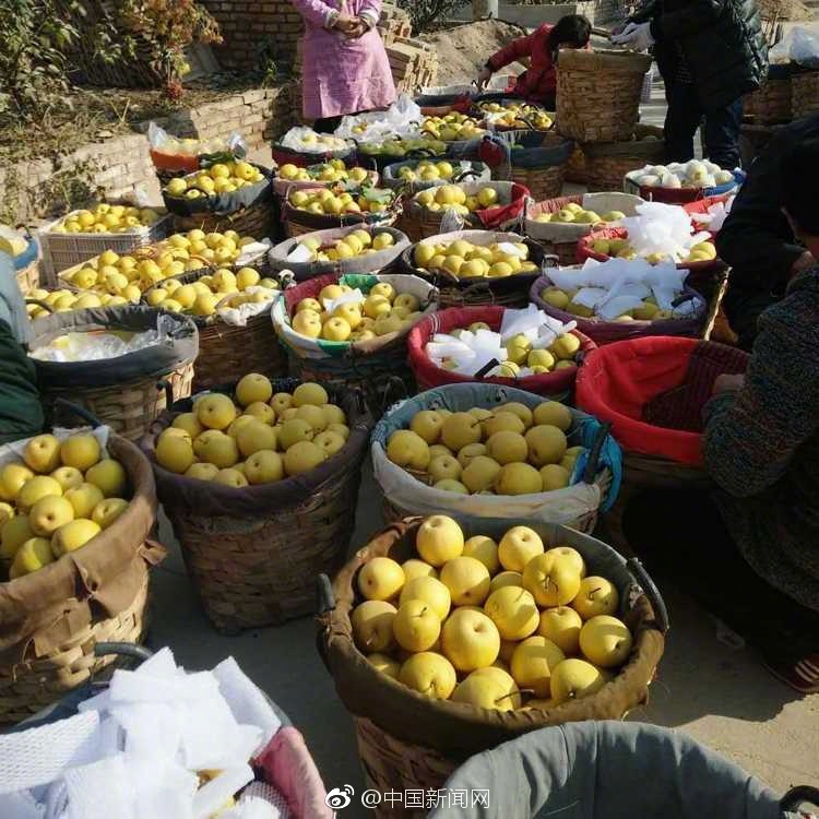 夜月直播app下载免费下载大全