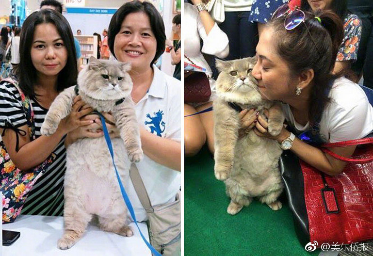 毛片免费看