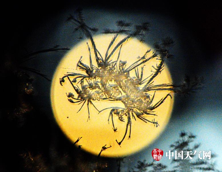 人妻无码