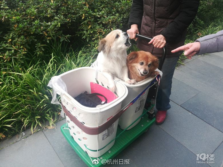 肥婆与青年操逼视频