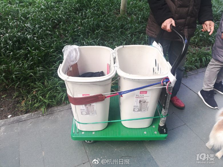 Free肥熟妇免费观看