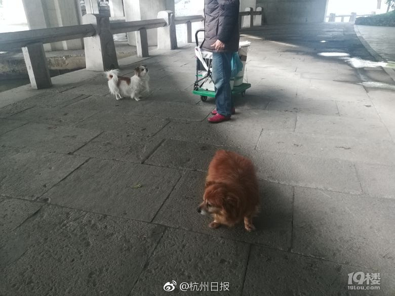 日本三级在线