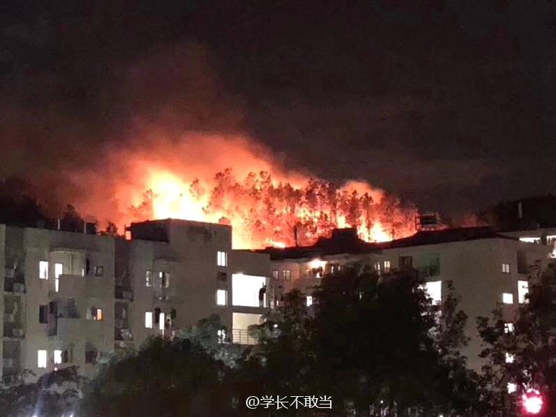 駱駝蹄
