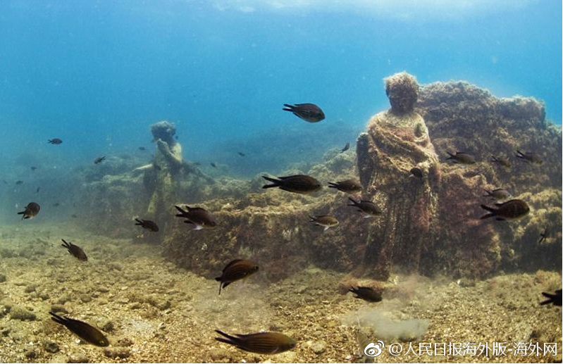 男女都露器官大尺度电影