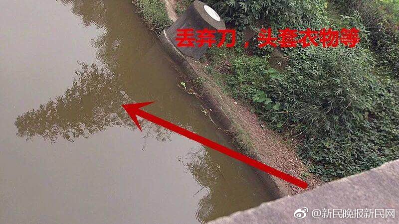 夫妻性生活一级黄片